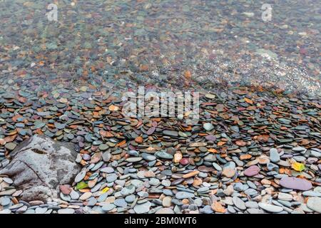 Lac Teletskoye, village de Yaylyu, République d'Altaï, Russie Banque D'Images