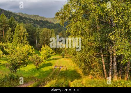 Lac Teletskoye, village de Yaylyu, République d'Altaï, Russie Banque D'Images