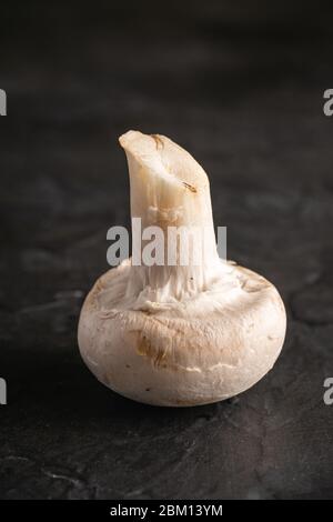 Un champignon champignon nourriture saine sur fond noir foncé texturé, macro Banque D'Images