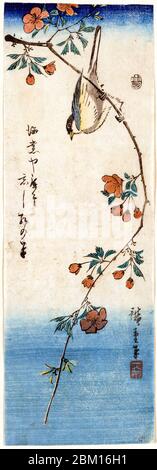 Utagawa Hiroshige, petit oiseau sur une branche de Kaidozakura, imprimé bois, 1844-1848 Banque D'Images