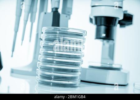 microscope, boîtes de petri et support de pipette par laboratoire microbiologique. La réponse immunitaire de l’organisme de recherche aux aliments pour aider à fournir des conseils sur ce que t Banque D'Images