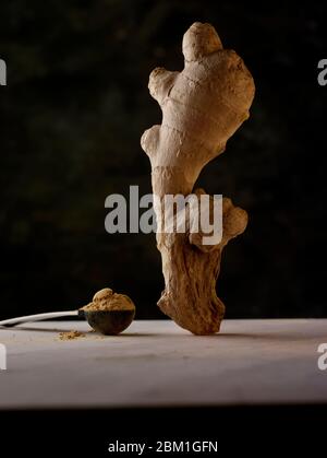 Statuesque et attrayant bien proportionné naturel de l'ingrédient de la nourriture de racine de gingembre étude encore-vie Banque D'Images