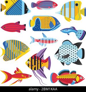 Des poissons d'aquarium tropicaux colorés sont à plat Illustration de Vecteur