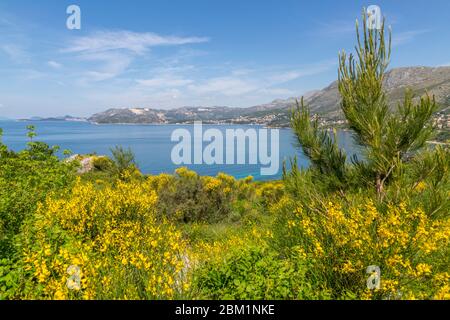 Vue sur la mer Égée vers Dubrovnik depuis Cavtat, un jour de printemps ensoleillé, Dunave, Croatie, Europe Banque D'Images