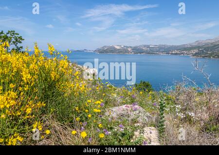 Vue sur la mer Égée vers Dubrovnik depuis Cavtat, un jour de printemps ensoleillé, Dunave, Croatie, Europe Banque D'Images