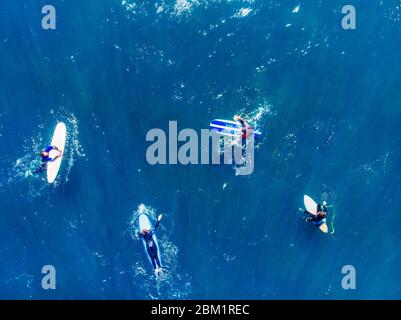Le groupe de surfeurs novices apprend à s'embarquer sur la vague. Vue supérieure de l'antenne. Banque D'Images
