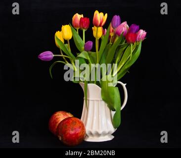 Une vie encore avec un bouquet de tulipes colorées dans un vase blanc avec deux grenades devant un fond noir Banque D'Images