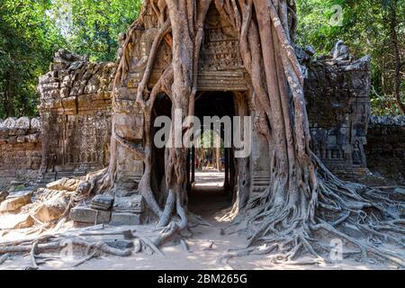 Temple de TA Som, complexe du Temple d'Angkor Wat, Siem Reap, Cambodge. Banque D'Images