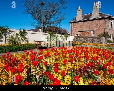 North Berwick, East Lothian, Écosse, Royaume-Uni. 6 mai 2020. Le jour le plus chaud de l'année jusqu'à présent, la station balnéaire normalement populaire est presque déserte. L'exposition stupéfiante de fleurs dans le jardin du mémorial de guerre avec des bancs vides n'a personne pour les admirer pendant le confinement pandémique du coronavirus Covid-19 Banque D'Images