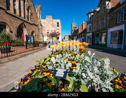 North Berwick, East Lothian, Écosse, Royaume-Uni. 6 mai 2020. Le jour le plus chaud de l'année jusqu'à présent, la station balnéaire normalement populaire est presque déserte. L'exposition stupéfiante de fleurs sur la High Street par North Berwick à Bloom n'a personne pour les admirer pendant le confinement pandémique du coronavirus Covid-19 Banque D'Images