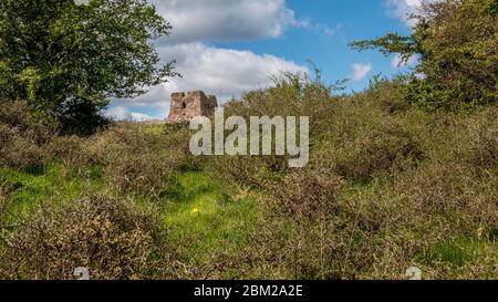 Le château de Kalo (Kalø Slot) est un château en ruines historique situé dans l'est du Jutland, Djursland, Danemark. Il a été construit au XIVe siècle. Ruine du château de Kalo Banque D'Images