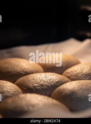 Pâte de pain de blé entier vegan formée en rouleaux et levée dans le four chaud avant la cuisson Banque D'Images