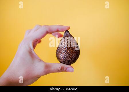 Salak à la main sur fond jaune vif, fruit frais de serpent thaïlandais Banque D'Images