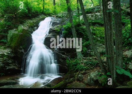 Crabtree Falls, George Washington National Forest, Virginia Banque D'Images