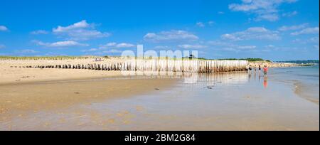 Cap Ferret/ France: Plage avec troncs en bois protégeant les dunes de Cap Ferret dans la baie d'Arcachon Banque D'Images