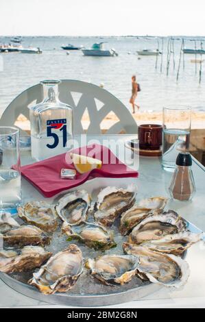 Cap Ferret, Gironde, Nouvelle-Aquitaine /France : une assiette d'huîtres dans un restaurant de la plage dans la baie d'Arcachon Banque D'Images