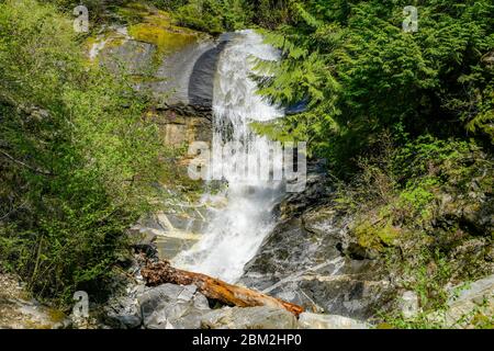 Bord de route, cascade, bar China, Fraser Canyon, Colombie-Britannique, Canada Banque D'Images