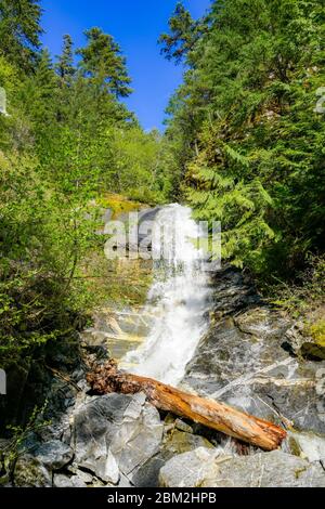 Bord de route, cascade, bar China, Fraser Canyon, Colombie-Britannique, Canada Banque D'Images