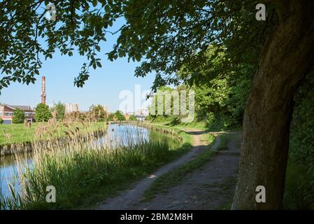 Le nouveau chemin de la rivière près de l'entrepôt d'Harringay, quartier du nord de Londres, UK Banque D'Images