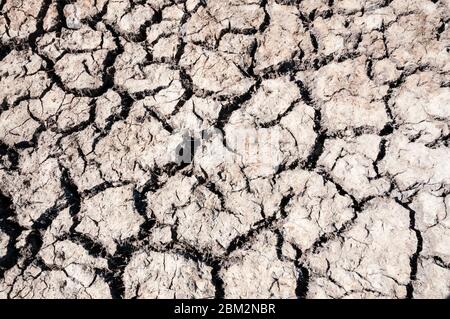 Sol sec et fissuré par temps chaud du printemps 2020. Banque D'Images