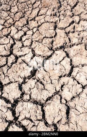 Sol sec et fissuré par temps chaud du printemps 2020. Banque D'Images