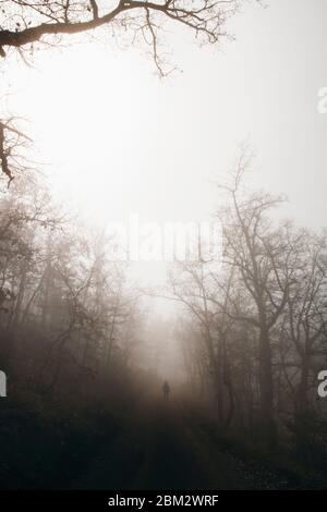 Fille marchant dans un chemin entre le brouillard et les arbres dans une forêt sombre Banque D'Images