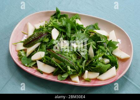 Salade verte et poire mélangée avec feuilles de sang de l'usine d'étrel rouge rumex sanguineus Banque D'Images