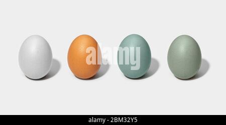 Groupe d'œufs de poulet isolés sur fond blanc. Œuf blanc, brun, vert et bleu Banque D'Images