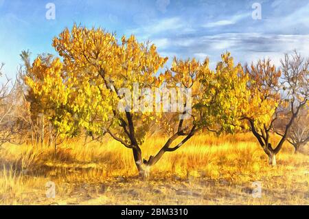 Arbres dans la vallée d'Ararat dans Sardarapas peinture colorée, province d'Armavir, Arménie Banque D'Images