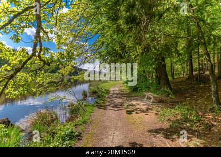 Un vieux couple marche dans un magnifique parc avec un lac et reflète le ciel bleu avec des nuages au printemps. Banque D'Images