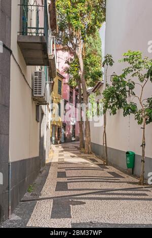 Funchal, Portugal - 10 novembre 2019 : centre historique et une des rues étroites près de Rua da Conceicao avec arbres et pavé portugais typique Banque D'Images