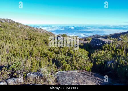 Sentier jusqu'au sommet du drapeau, parc national de Caparao, Alto Caparao, Minas Gerais, Brésil Banque D'Images