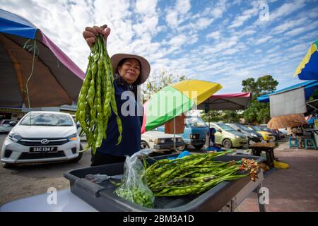 Malaisie, 6 mai 2020 - Parkia speciosa vendeur ou communément connu sous le nom de 'Petai' dans le marché du matin à Tuaran, Sabah. En Malaisie et à Singapour, le petai est des als Banque D'Images