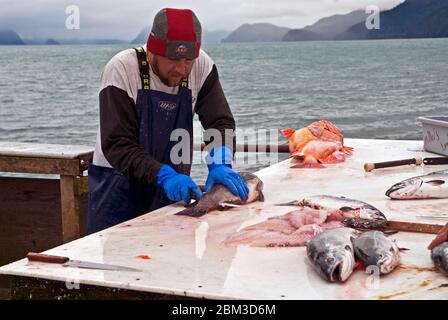 Nettoyage du poisson dans Seward, Alaska Banque D'Images