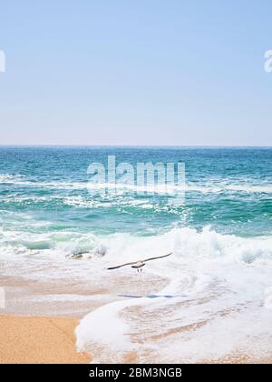 Praia da Nazaré e Praia do Norte, Férias, 2019 Banque D'Images