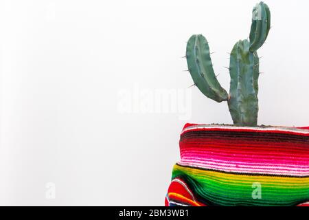 Cactus et poncho mexicain coloré isolé sur fond blanc Banque D'Images