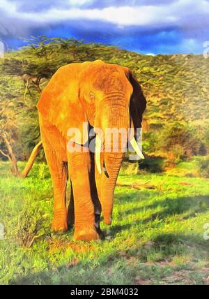 La peinture colorée de l'éléphant d'Afrique ressemble à l'image, Kenya Banque D'Images