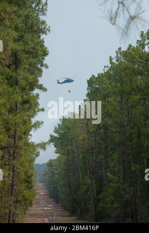 Comté de Bastrop Texas États-Unis, 5 septembre 2011 : un hélicoptère Chinook à deux rotors tente une goutte d'eau dans la forêt à l'est de Bastrop, les feux de forêt faisant rage à travers les pins ruraux à la fin d'un long et chaud été. Le feu est toujours hors de contrôle après avoir brûlé des milliers d'acres sur deux jours. ©Bob Daemmrich Banque D'Images