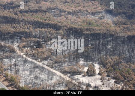 Comté de Bastrop, États-Unis, 16 septembre 2011 : dommages aériens d'incendie où des incendies de forêt ont brûlé 38 000 acres et plus de 1 500 maisons avec deux décès signalés. Les arbres du parc national de Bastrop ont été les plus durement touchés, plus de 95 % de la superficie du parc ayant été noircie ou détruite. ©Bob Daemmrich Banque D'Images