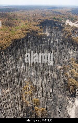 Comté de Bastrop, États-Unis, 16 septembre 2011 : dommages aériens d'incendie où des incendies de forêt ont brûlé 38 000 acres et plus de 1 500 maisons avec deux décès signalés. Les arbres du parc national de Bastrop ont été les plus durement touchés, plus de 95 % de la superficie du parc ayant été noircie ou détruite. ©Bob Daemmrich Banque D'Images