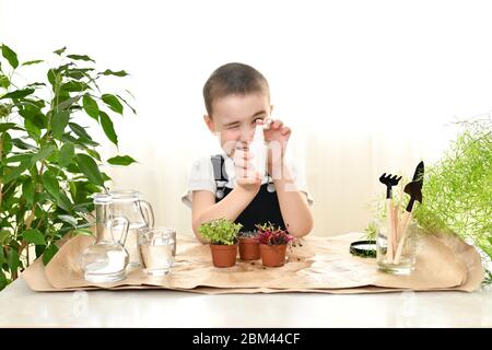 L'enfant s'occupe des plantes germées dans des pots. L'eau qui éclabousse devant lui prend le but et fait un coup d'œil. Banque D'Images