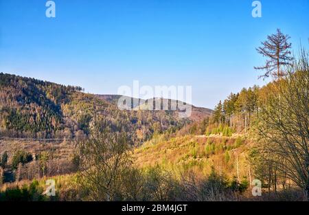 Montagnes avec arbres dans le Harz sous un ciel bleu. Banque D'Images