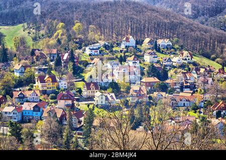 Ville de Wernigerode avec maisons et arbres en arrière-plan. Saxe-Anhalt, Allemagne Banque D'Images