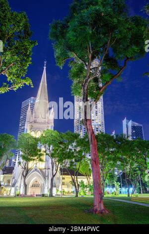 Singapour 30. 2019 décembre : la cathédrale Saint-André de nuit, en arrière-plan Swissôtel The Stamford Banque D'Images