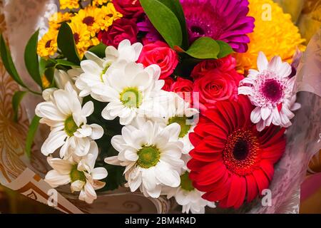Un beau bouquet de gerberas rouges, de chrysanthèmes blancs et de roses rouges. Arrière-plan de la fleur Banque D'Images