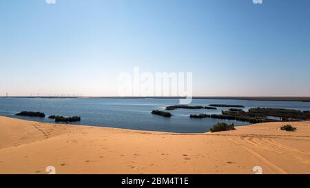 Le lac jaune dans le désert du Royaume d'Arabie saoudite Banque D'Images