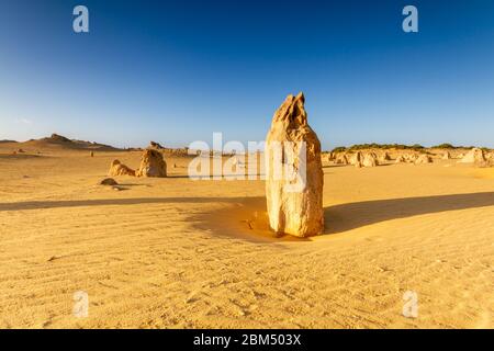 Les Pinnacles au parc national de Nambung, près de la ville de Cervantes, en Australie occidentale. Banque D'Images