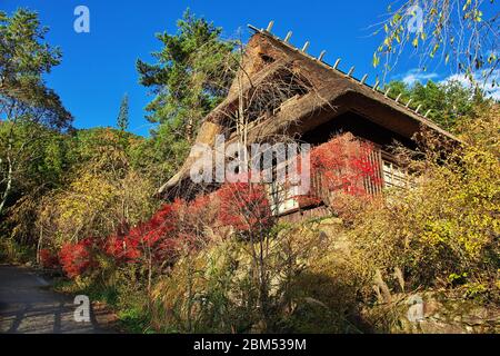 Saiko Iyashi No Sato Nemba, Fuji, Japon Banque D'Images