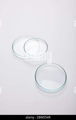 Vue en grand angle de la verrerie de laboratoire sur fond gris Banque D'Images