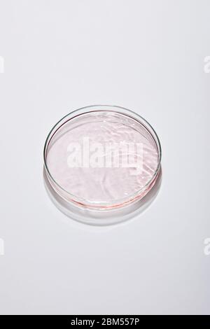 Vue en grand angle de la verrerie de laboratoire avec liquide rose sur fond gris Banque D'Images